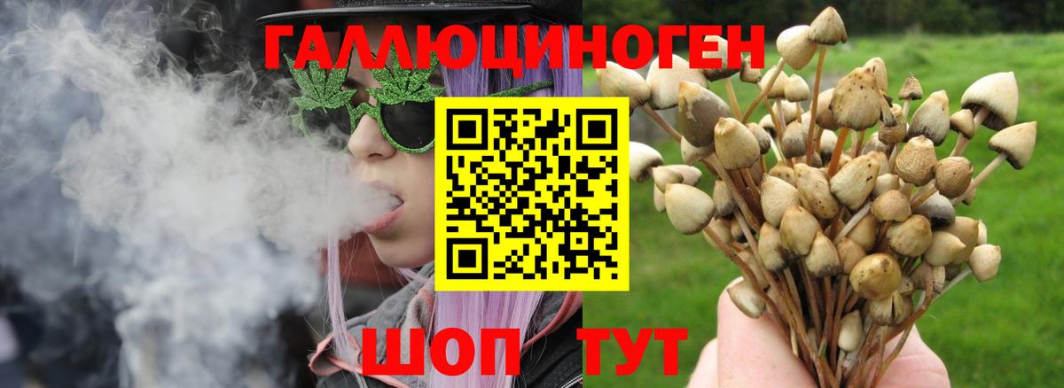 Заринск  Псилоцибиновые грибы GOLDEN TEACHER  Вход с VPN  Галлюциногенные грибы мухоморы 